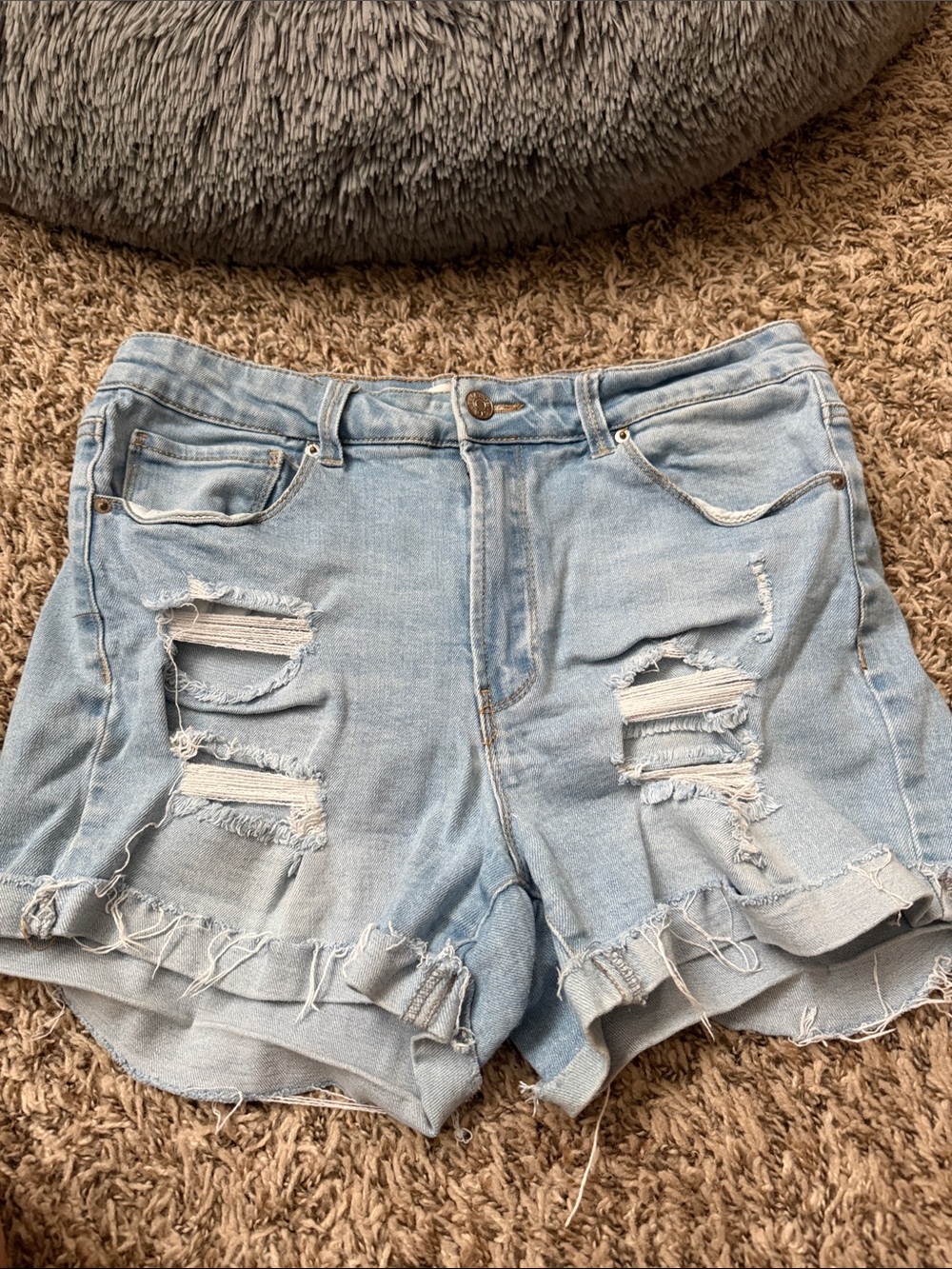 Black Label Light Wash Distressed Denim Jean Shorts
